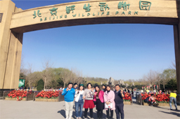 銷售團(tuán)隊(duì)集體活動(dòng)